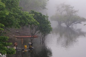 Amazônia, mãe do clima no Brasil 