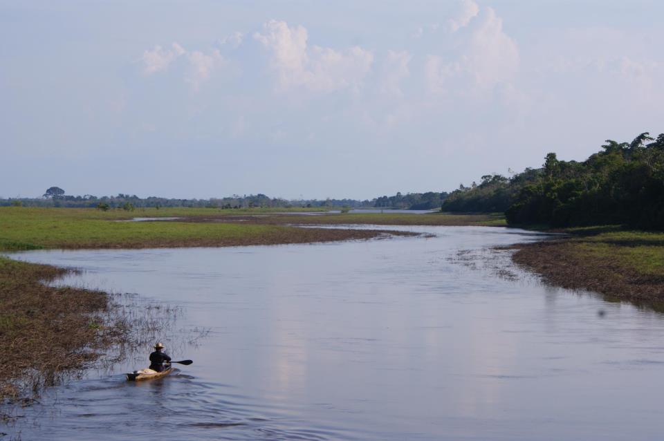 Reserva de Uatumã, Amazonas (Cortesia de Eduardo Rizzo Guimarães)