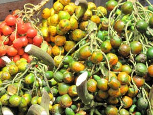 Pupunha, no mercado Ver-o-peso, em Belém, Pará (Cortesia de Gabriel Brejão)