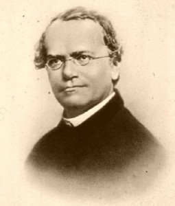 Gregor Mendel (Wikimedia Commons)