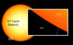 Comparação dos tamanhos do sol e da estrela CY Canis através de imagem (Wikimedia Commons)
