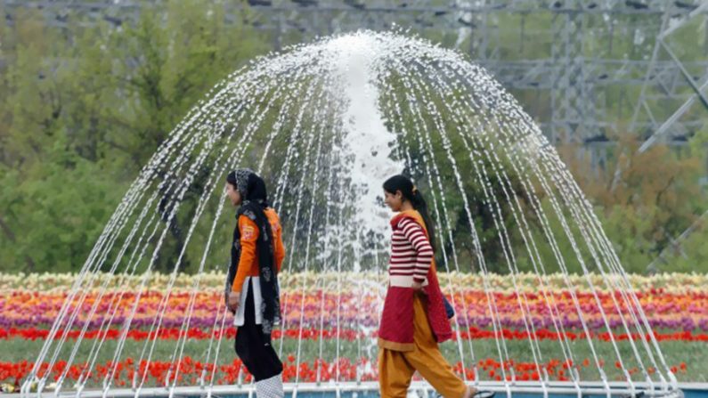 Indianas de Caxemira passeiam no Jardim Tulipa em Srinagar, Índia (Tauseef Mustafa/AFP/Getty Images)