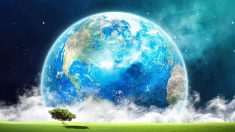 Gaia: A Mãe Terra