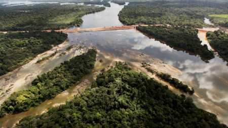 Ministério do Meio Ambiente suspende operações na Amazônia e Pantanal