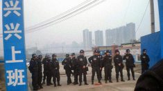 Desespero, suicídios e revoltas dos camponeses na China