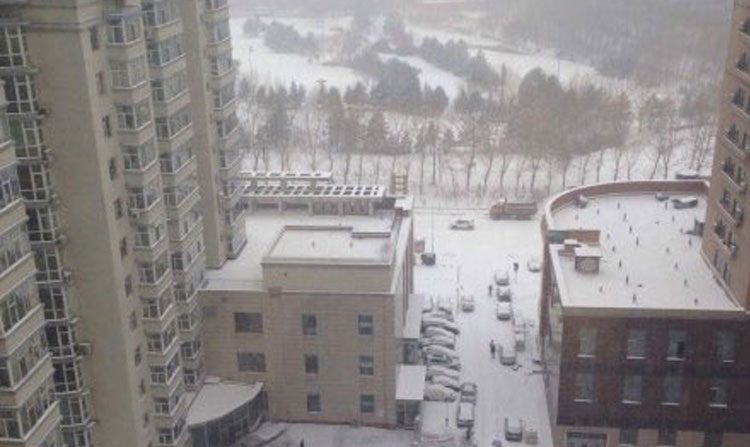 Imagens da cidade de Haerbin, Heilongjiang, na manhã do dia 17 (Imagens da Internet)