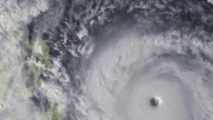 O tufão Haiyan e as manobras inescrupulosas do alarmismo climático