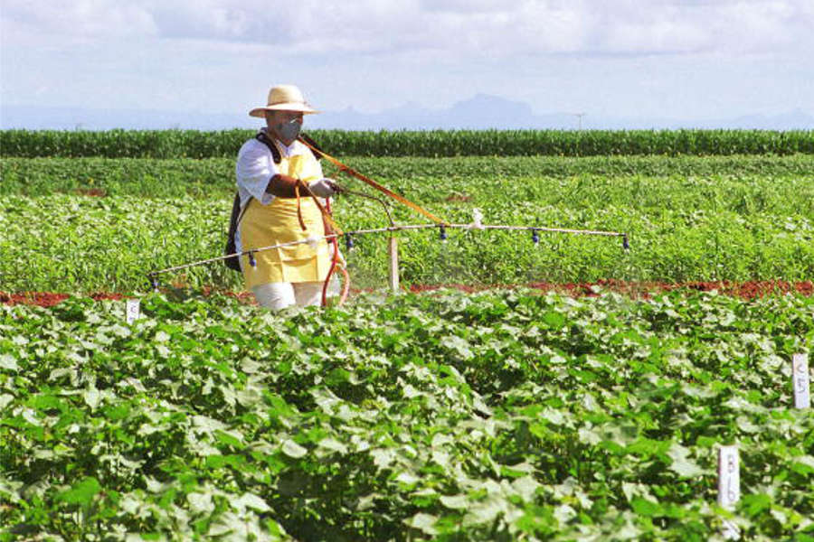 PIB da cadeia de soja e biodiesel deve cair 5,77% em 2024, impactado por quebra de safra e queda nos preços