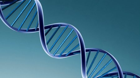 Variante genética rara pode ser causa da esclerose múltipla