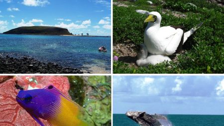 Arquipélago dos Abrolhos, um paraíso em mar brasileiro