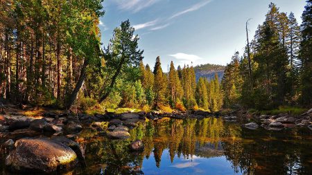 Um voo sobre o Parque de Yosemite e sua natureza exuberante