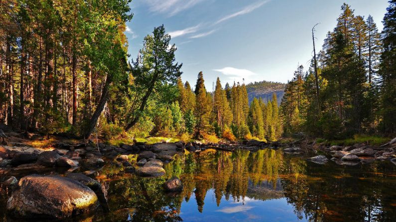 Parque de Yosemite, na California (SteveD/fotopedia/CC BY 2.0)