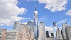 Vídeo time-lapse mostra 11 anos da construção do WTC em Nova York em 2 minutos