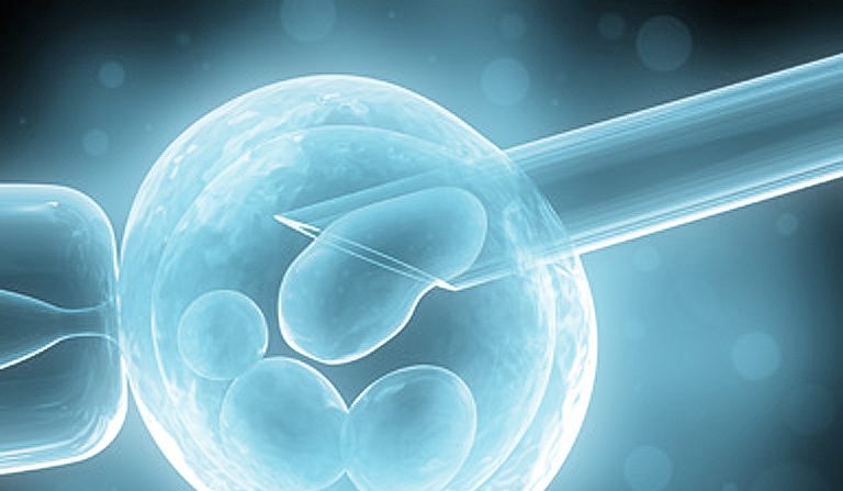 Casos de gravidez multifetal ocorrem quase exclusivamente como resultado de mulheres que se submeteram a tratamento de fertilidade, como inseminação artificial, mas ainda assim são muito raros (Shutterstock)