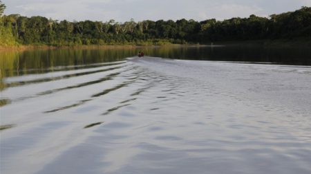 Projetos de carbono no Acre ameaçam direito à terra