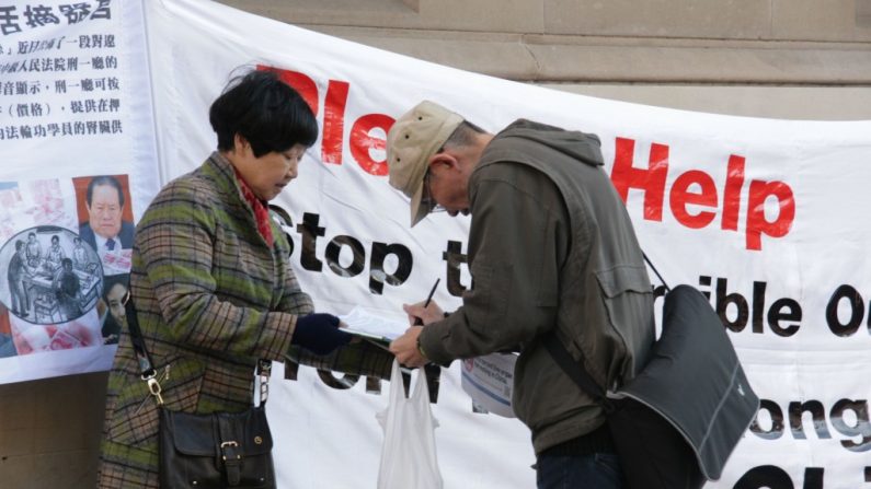 Um transeunte na Austrália assina uma petição que pede o fim da atrocidade da colheita forçada de órgãos de praticantes do Falun Gong na China. A petição recolheu cerca de 1,5 milhão de assinaturas em 53 países e foi apresentada ao Alto Comissariado de Direitos Humanos da ONU em 9 de dezembro (Minghui.org)