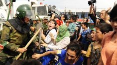 Oficiais chineses roubam fazendas e prendem agricultores por protestar
