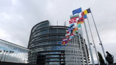 Parlamento Europeu aprova resolução contra extração forçada de órgãos na China