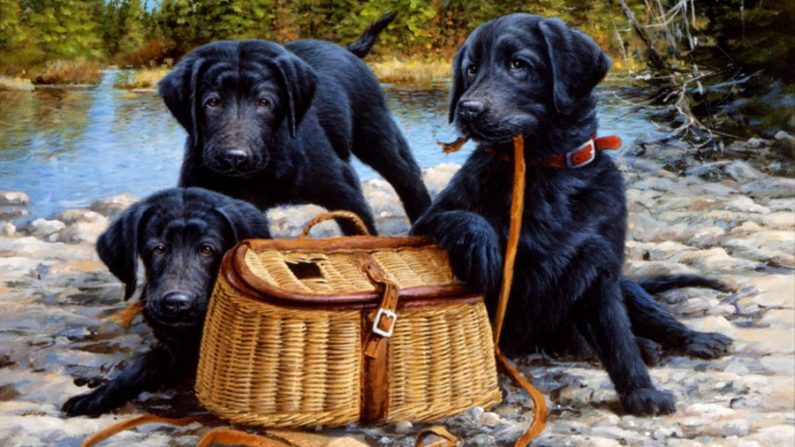 Pintura de Jim Killen retratando cachorros Black Lab (Divulgação)