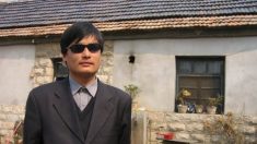 Sobrinho do ativista Chen Guangcheng corre risco de morte em prisão na China