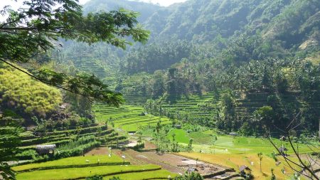 Terraços de Arroz de Banaue, uma das maravilhas do mundo