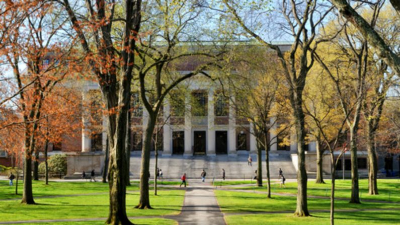 Imagem de um campus universitário (Shutterstock)