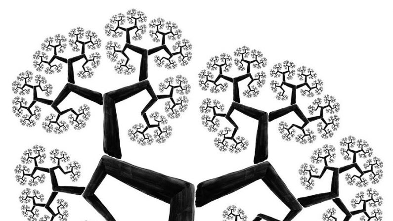 O fractal de uma árvore, simbolizando a ordem natural e espontânea (Imagem da internet)