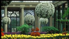 Longwood Gardens e seus jardins de arrancar suspiros