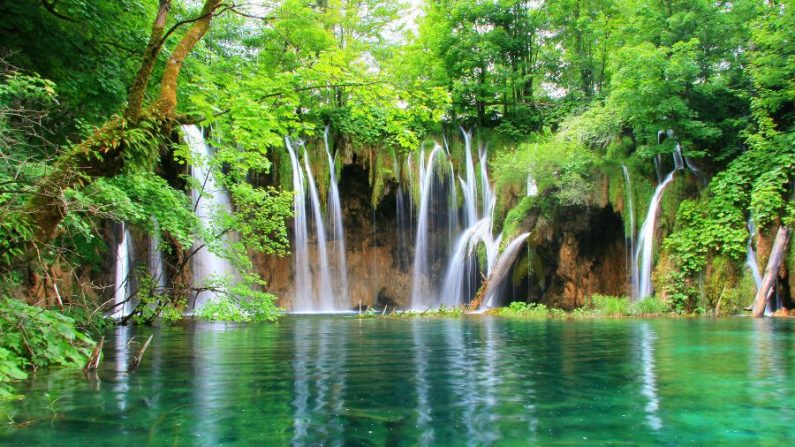 O Parque Nacional Plitvice, um dos lugares mais lindos do mundo (Internet)