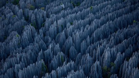 Parque Nacional do Tsingy de Bemaraha, uma floresta de pedra