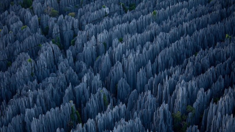 Parque Nacional da Reserva Natural de Tsingy de Bemaraha, uma verdadeira floresta de pedra (Internet)