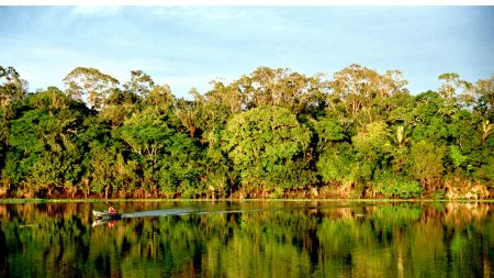 Fundo financiará plano ambiental envolvendo Brasil e mais quatro países