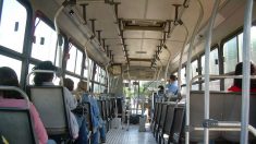 DF inicia ação contra assédio sexual em ônibus