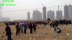Camponeses desafiam urbanização frenética na China