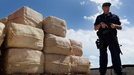 Consumo de cocaína declina pela metade nos EUA, mas maconha cresce