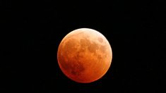 Lua Vermelha: eclipse total ocorrerá no próximo dia 15