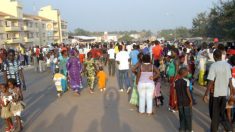 Observadores internacionais aclamam eleições na Guiné-Bissau