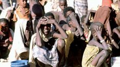 50 mil crianças podem morrer de fome no Sudão do Sul, segundo Unicef