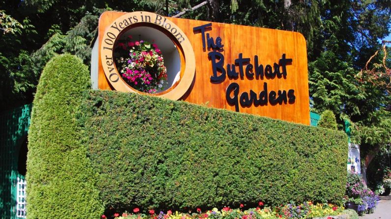 Butchart Gardens são um conjunto de jardins em Brentwood Bay, no Canadá, perto de Victoria (Internet)