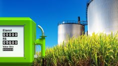 TRF-1 autoriza usinas de três estados a venderem etanol direto aos postos