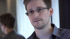 Após revelações de Snowden, espionagem global aumentou cinco vezes