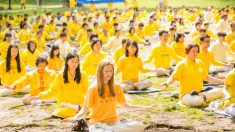 ‘Dia Mundial do Falun Dafa’ é celebrado mundialmente