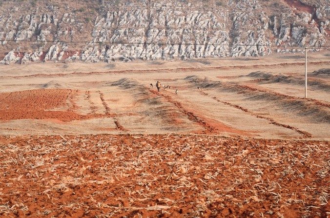Um agricultor chinês trabalha num campo erodido após uma longa seca em Fuyuan, província de Yunnan, em 2012. Diante de uma crise alimentar, a China abandonou sua política de autossuficiência de grãos (STR/AFP/Getty Images)