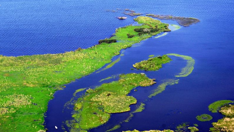     Vista aérea da propriedade 'Rincon del Socorro', em Ibera, perto de Carlos Pellegrini na província de Corrientes, na Argentina (Daniel Garcia/AFP/Getty Images)