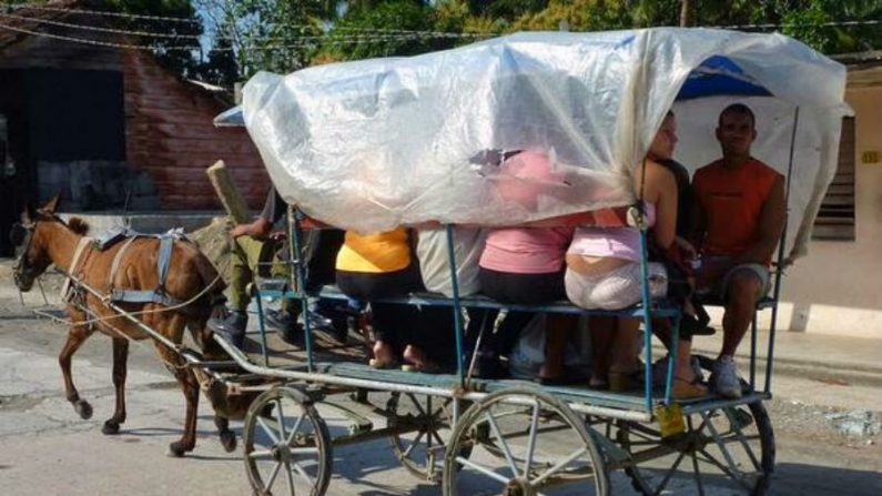 Esse é o transporte público em Cuba (Divulgação)