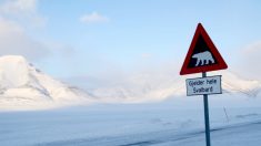 Noruega nega apelo do Greenpeace contra prospecção de petróleo no Ártico