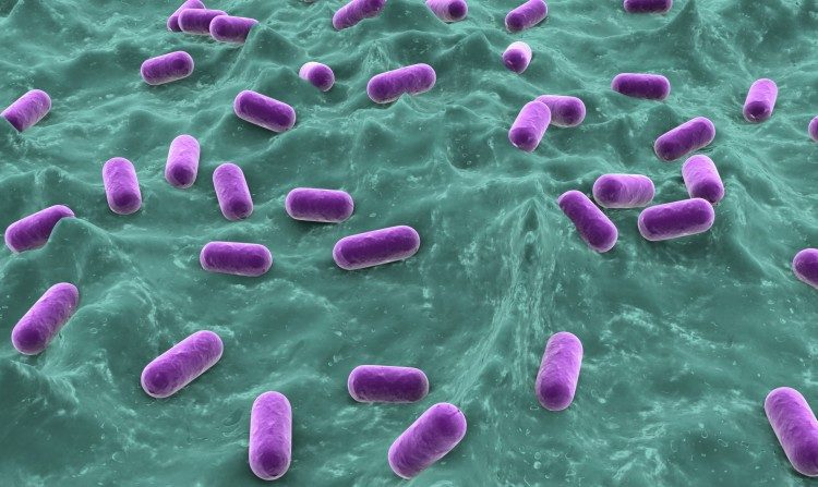Cientistas desenvolveram uma solução que pode matar bactérias sem deixá-las desenvolver resistência a ela (Alexander Raths/Photos.com)