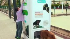 Máquina fornece ração a cães e gatos abandonados em troca garrafas plásticas