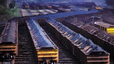 Vale pretende dobrar exportações de minério para China até 2018