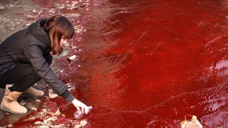 A catástrofe ambiental na China